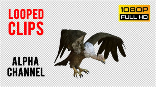 Buzzard 2 Realistic Pack 3