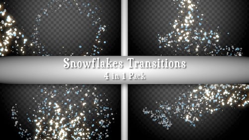Paquete Transiciones Snowflakes