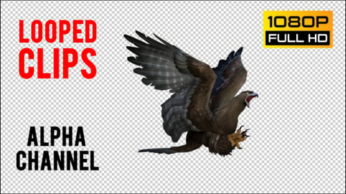 Eagle 1 Realistic Pack 3
