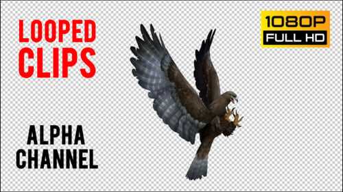 Eagle 3 Realistisches Pack 3