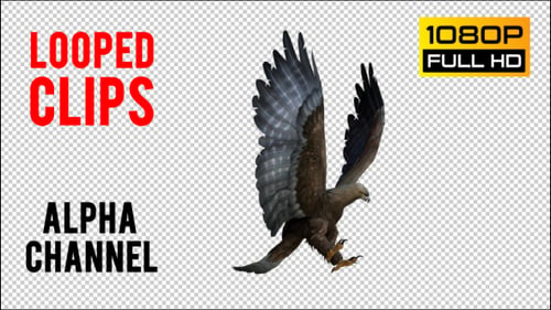 Eagle 4 Realistisch