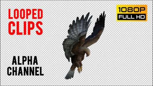 Eagle 5 Realistisches Pack 3
