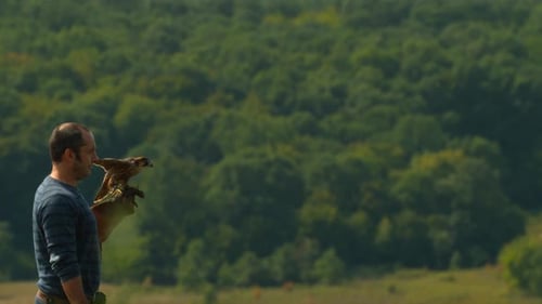 Falcon trying to fly from its trainer