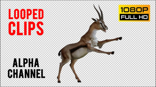 Gazelle 1 Realistisches Pack 3