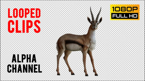 Gazelle 4 Realistisch