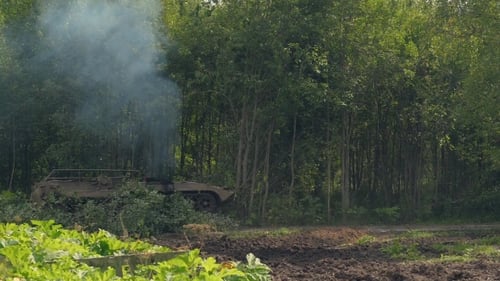Tanque militar derriba árboles verdes para construir un camino en el bosque para luchar contra el enemigo