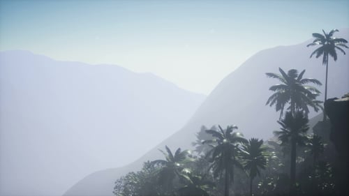 Hazy Mountain Landscape with Tropical Palm Trees Panorama