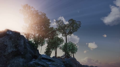 Sun Beams Through Trees