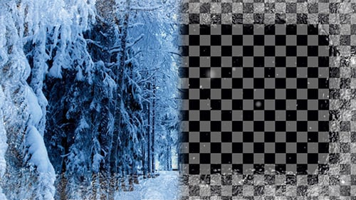 Frosty Frame Falling Snow