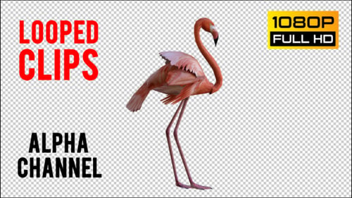 Flamingo 3 Realistisches Pack 2