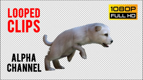 Puppy 3 Realistic Pack 2