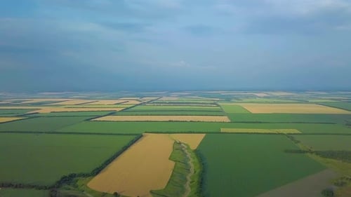 Über eine grüne Wiese fliegen