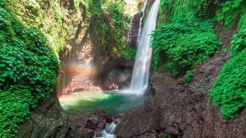 Tropical Waterfall Cascading in a Lush Environment