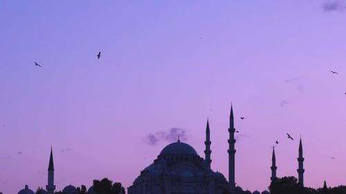 View of Suleymaniye Mosque with Seagulls Flying Around on Sunset From Bosphorus in Istanbul Turkey