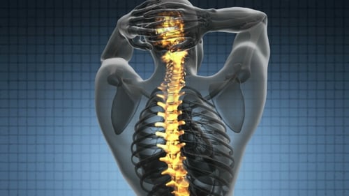 Animated Human Spine X-Ray with Glowing Nerves