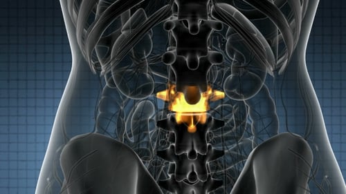 Human Spine Anatomy with Highlighted Pain in 3D Medical Animation