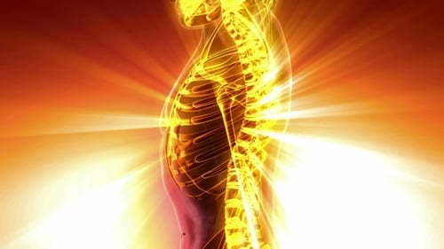 Glowing Human Nervous System and Skeleton Anatomy Animation