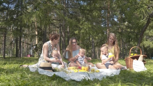 Camping, Friends on the Green Lawn at the Picnic, the Child in the Fresh Air