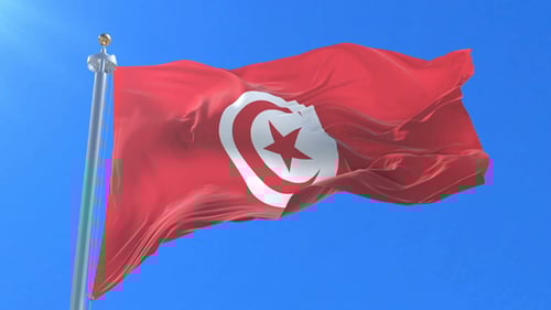Tunisia National Flag Waving in Realistic Slow Motion