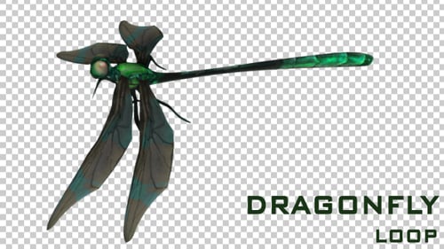 Dragonfly