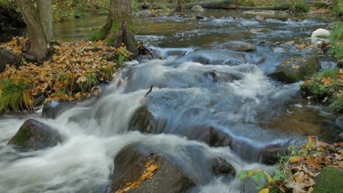 Autumn River Flow with Beautiful Scenery