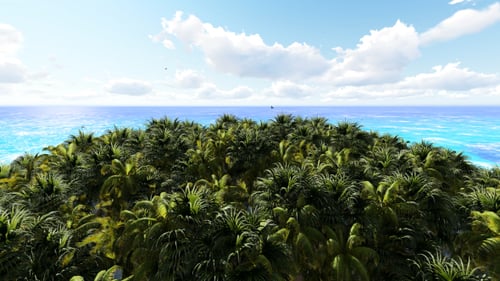 Sea View With Trees