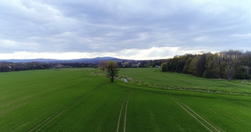 Fields with Various Types of Agriculture