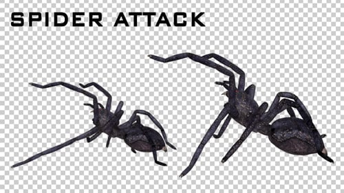 Ataque de aranha