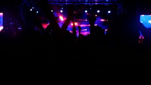 Man Listens the Rock Concert in Stadium