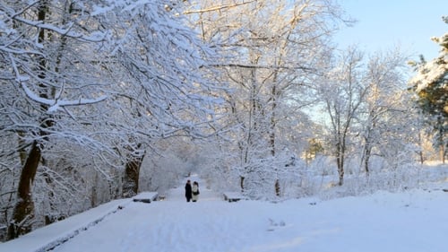 Ein liebendes Paar küsst sich in einem verschneiten Park