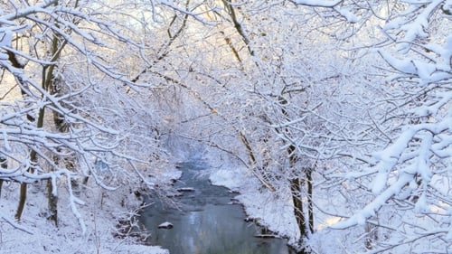 Gefrorene Bäume unter dem Schnee über dem Fluss