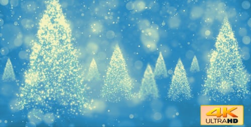 Festive Sparkling Christmas Trees Winter Background