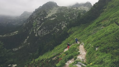 Hikers Trekking a Mountain Path in Wilderness