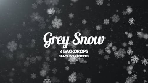 Graues Schneepack