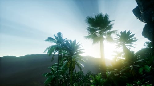 Tropical Palm Trees Landscape with Glowing Sun Rays