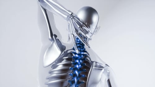 Futuristic 3D Human Spine Scan Digital Health Visualization