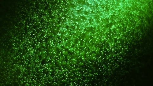 Simple Green Background