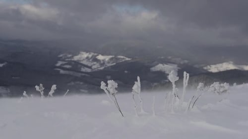 Snowstorm in Winter Mountains