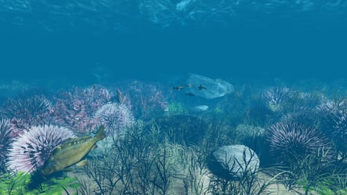 Underwater