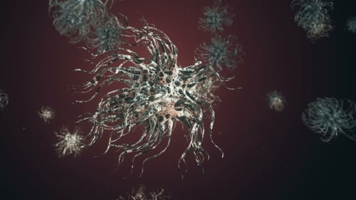 Fluid Microscopic Organisms Animation for Science