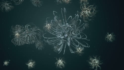 Abstract Microscopic Organism Pulsating and Multiplying Animation