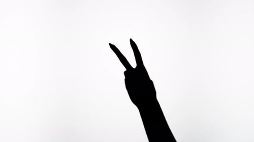 Shadow Hand Peace Sign on White Background