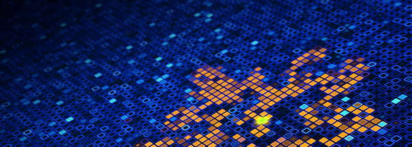 Infection of a Database on a Computer Network 4K