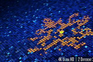 Infection of a Database on a Computer Network 4K