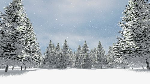 Snow Melting Time-lapse