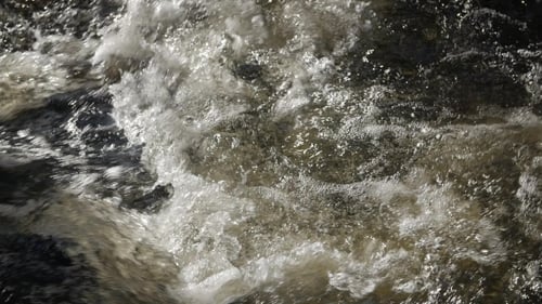 Mountain River im Wald