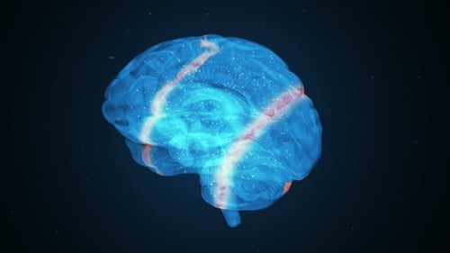 Futuristic Digital Brain with Neural Network Activity