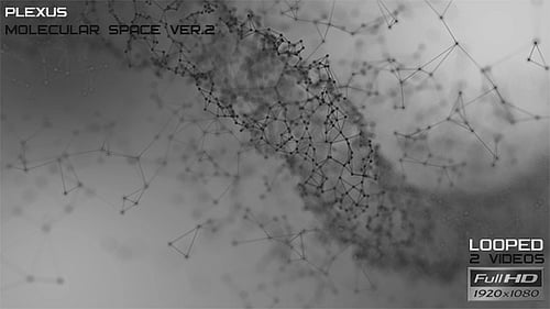 Plexus Molecular Space Ver.2 — 2er Pack