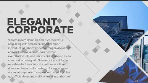 Elegant Corporate 2in1