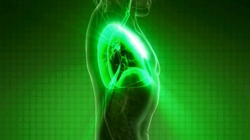 Glowing Human Lungs Medical X-Ray Scan Animation on Green Background